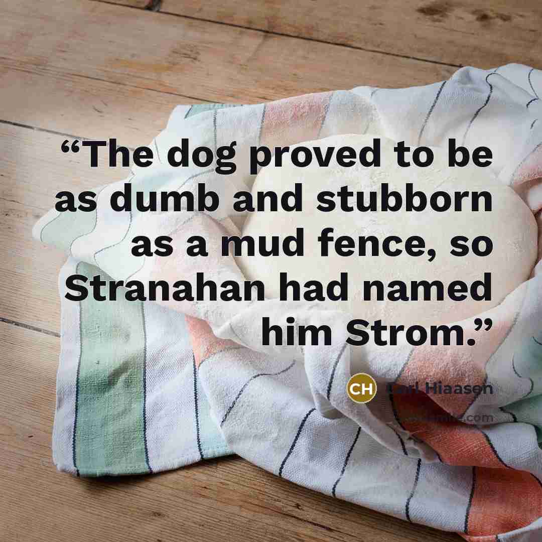 “The dog proved to be as dumb and stubborn as a mud fence, so Stranahan had named him Strom.” quote by Carl Hiaasen
