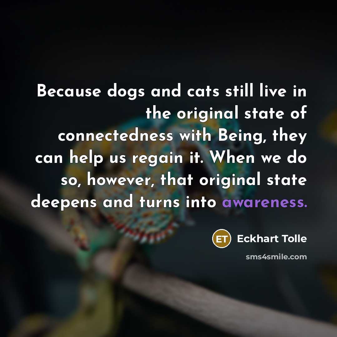 “Because dogs and cats still live in the original state…” quote by Eckhart Tolle