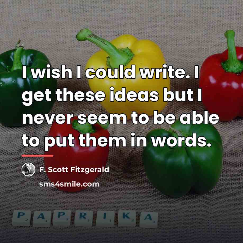 “I wish I could write. I get these ideas but…” quote by F. Scott Fitzgerald
