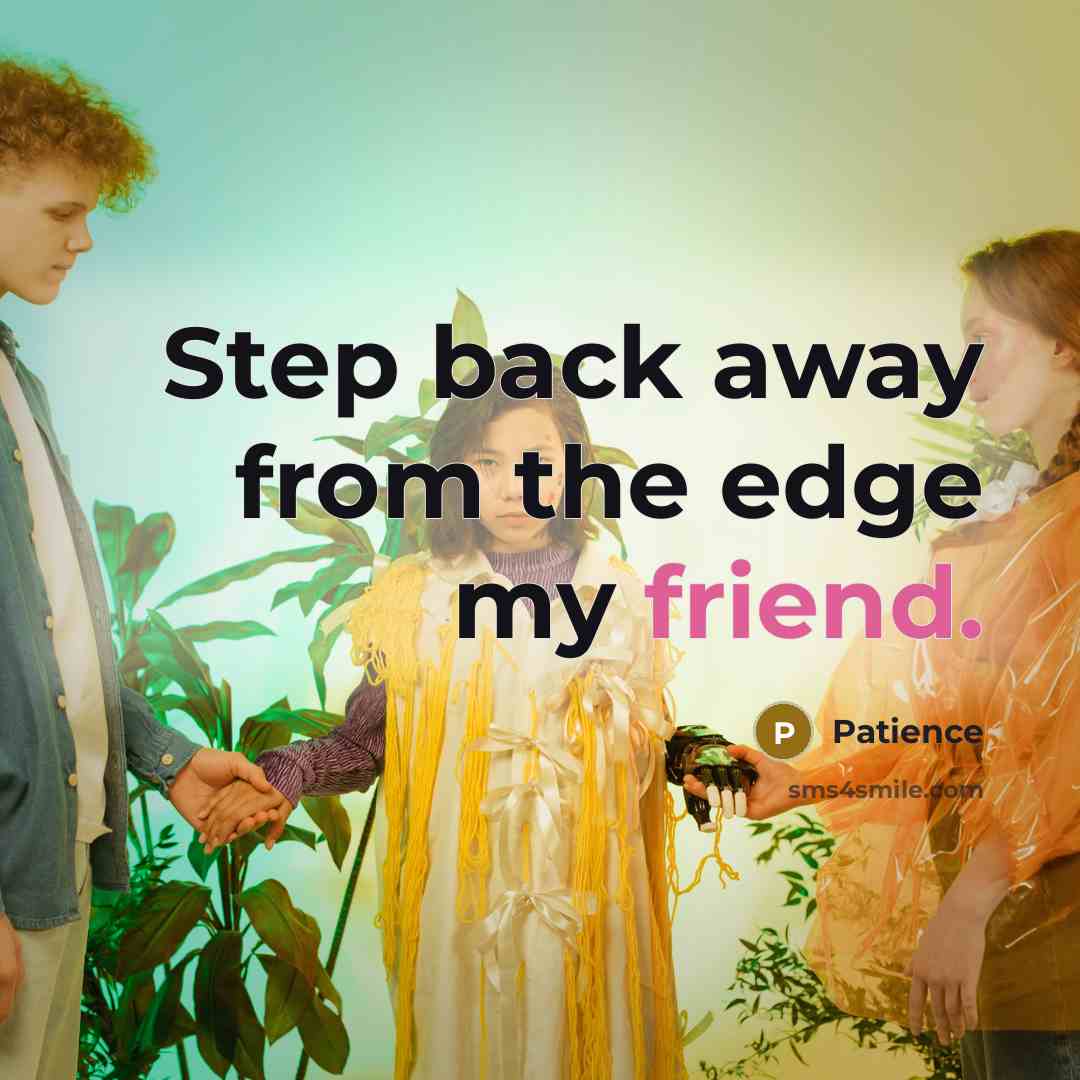 “Step back away from the edge my friend.” quote by Patience