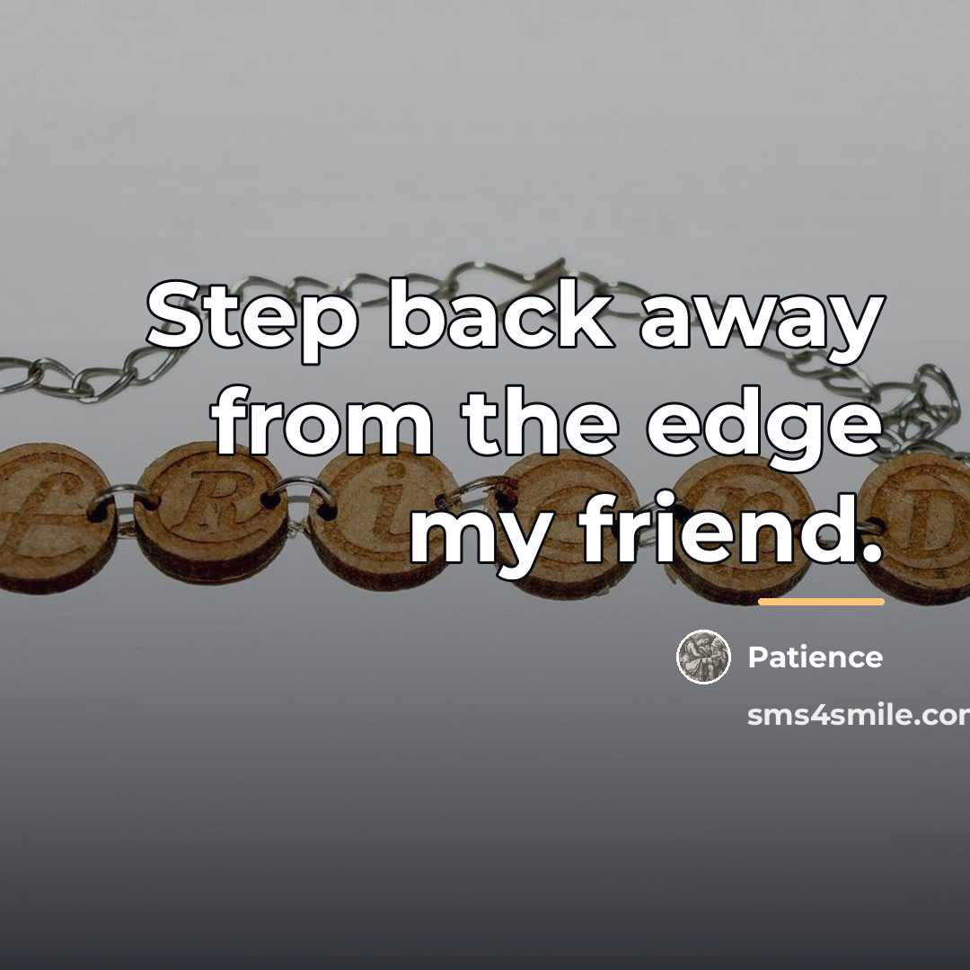 “Step back away from the edge my friend.…” quote by Patience