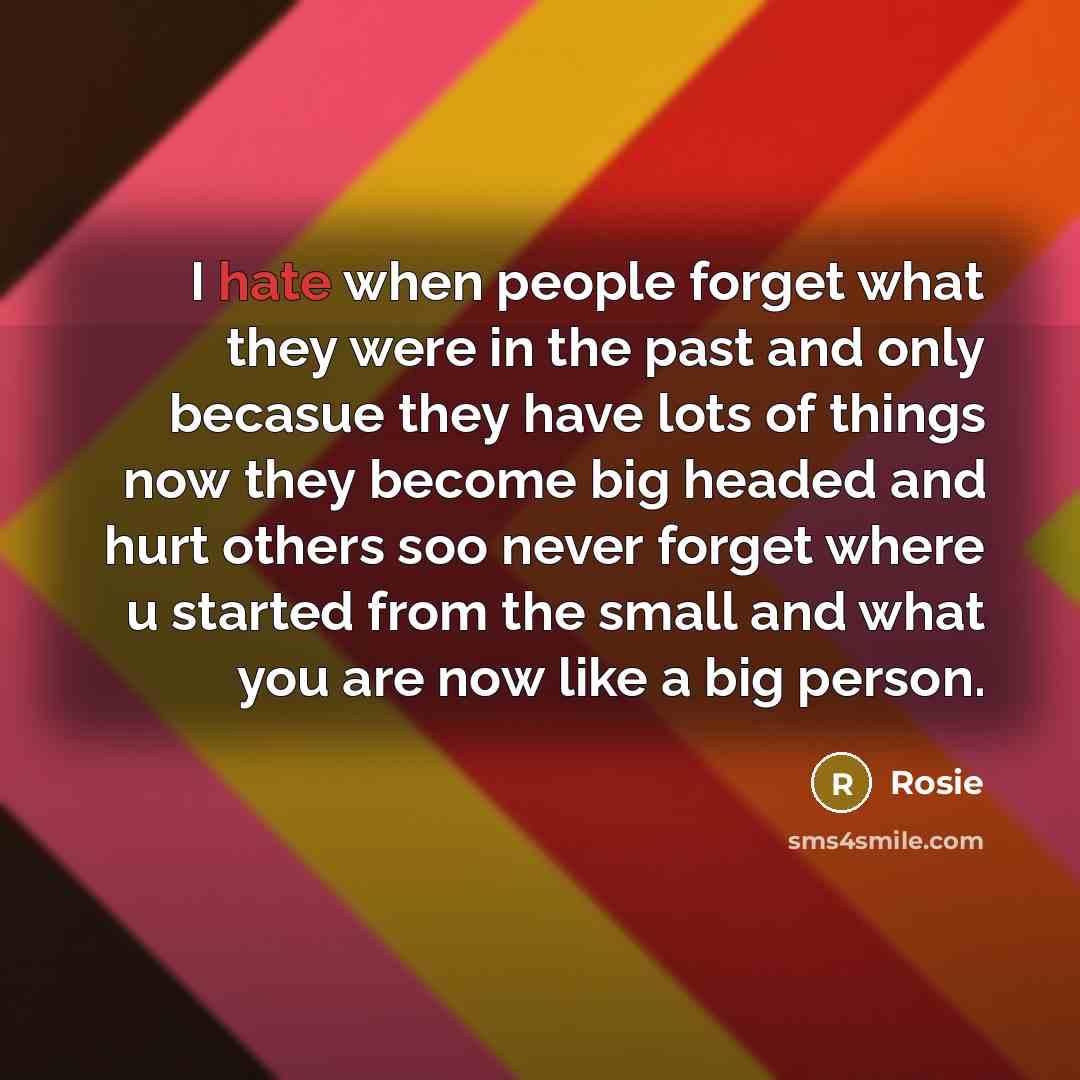 “I hate when people forget what they were in the…” quote by Rosie
