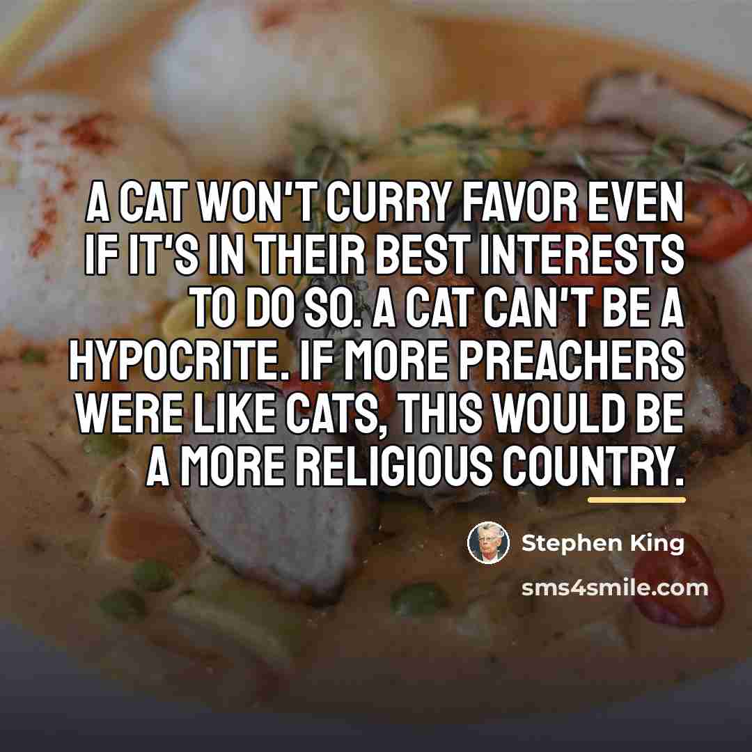 “A cat won't curry favor even if it's in their…” quote by Stephen King