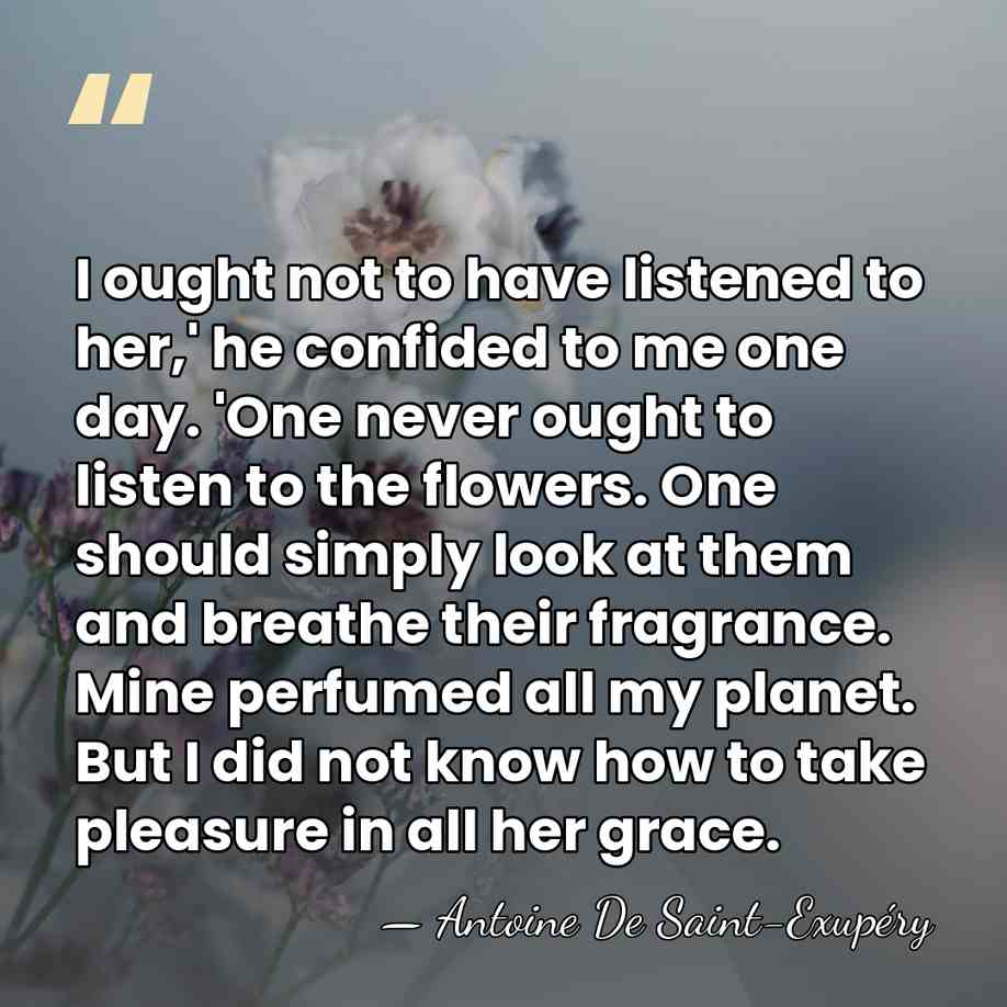 I ought not to have listened to her,' he confided to me&hellip; - Antoine de Saint-Exupery