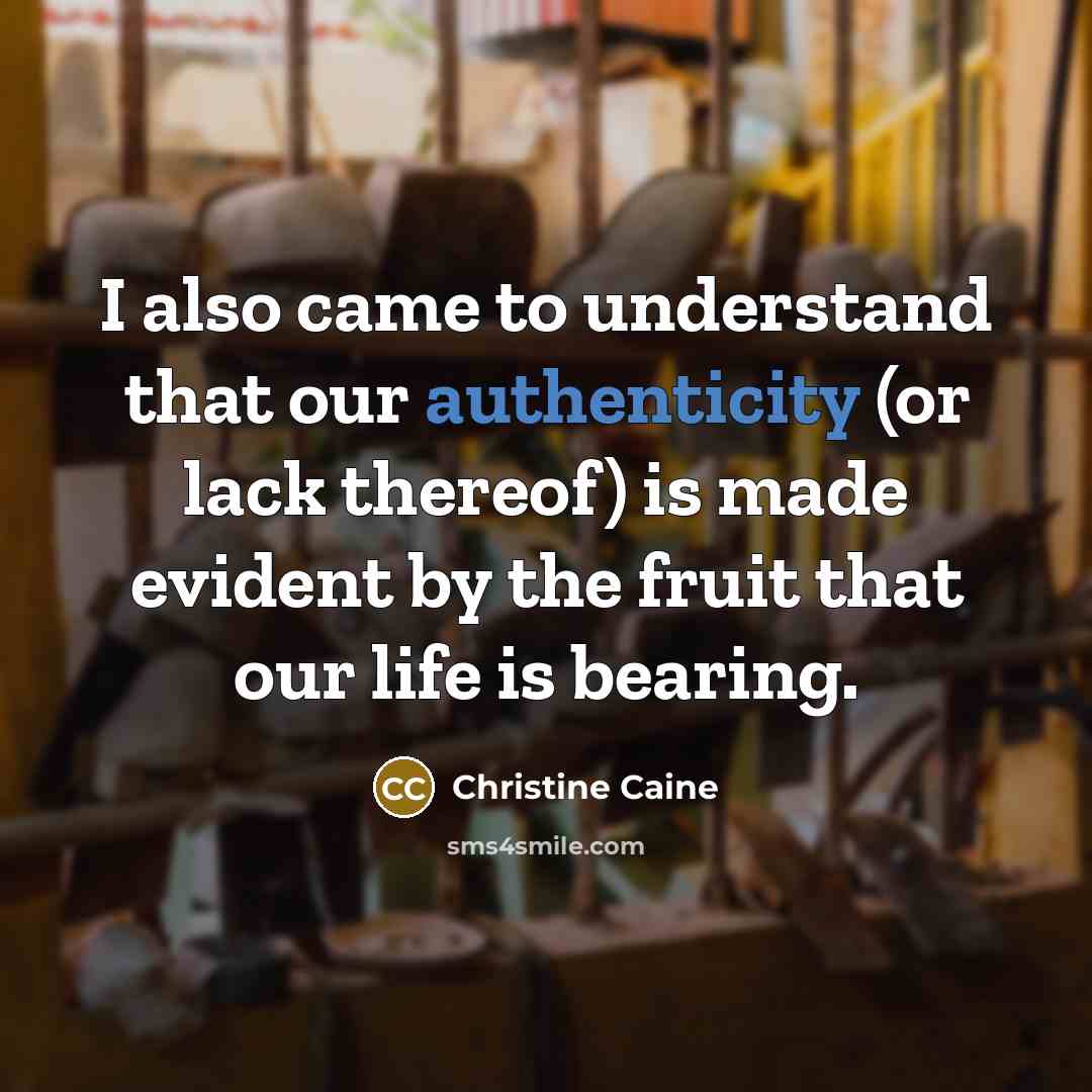 “I also came to understand that our authenticity (or lack…” quote by Christine Caine
