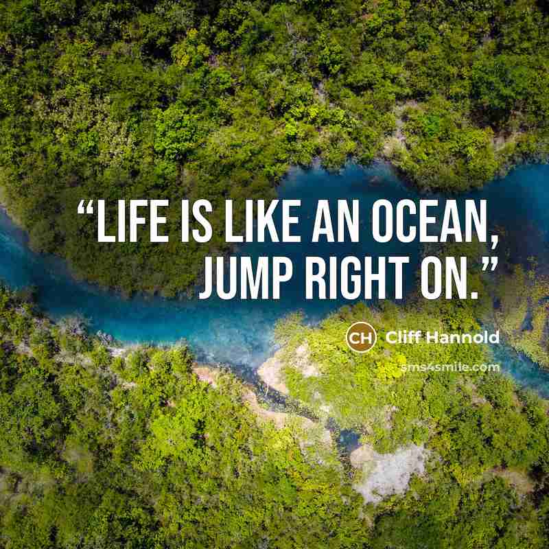 “Life is like an ocean, jump right on.” quote by Cliff Hannold