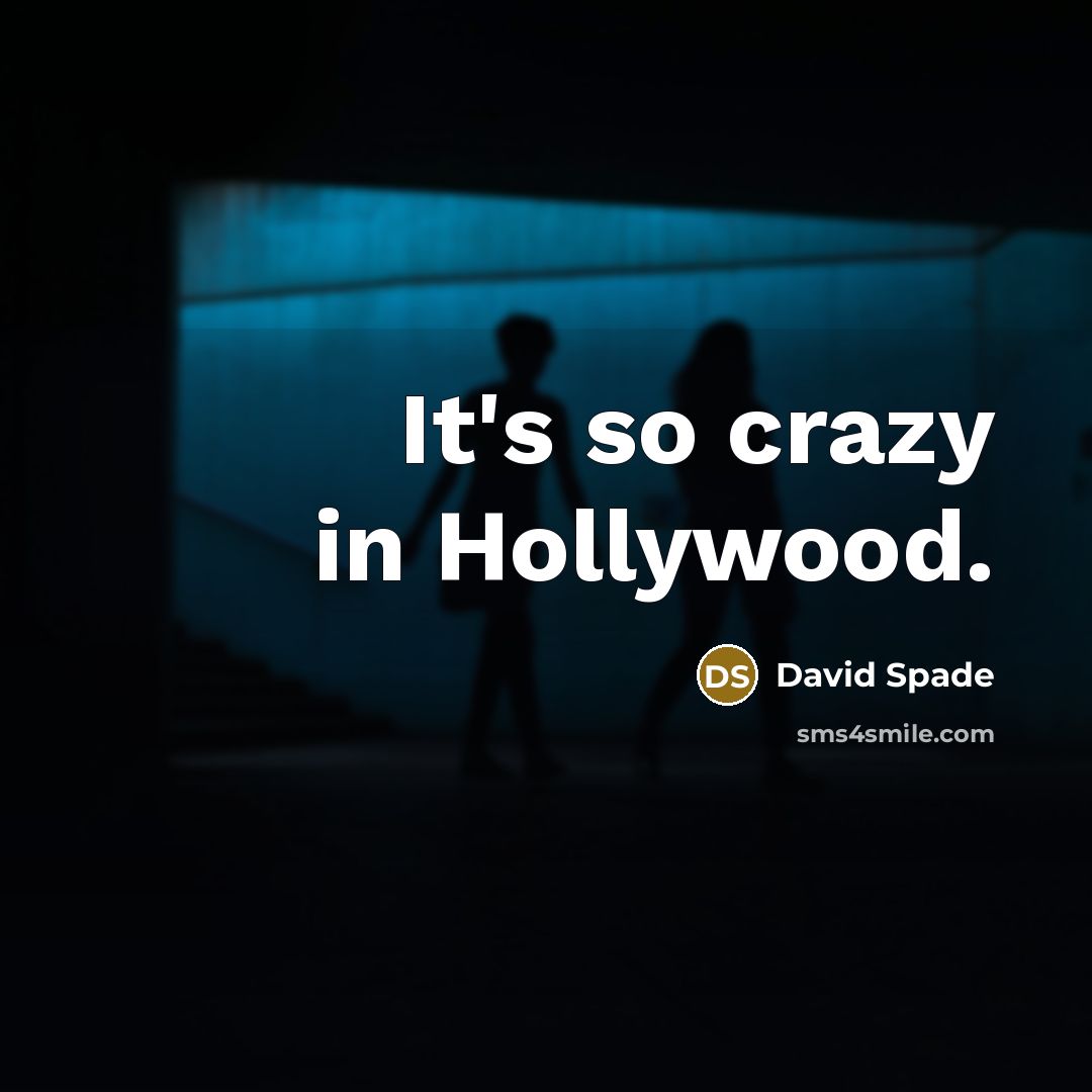 “It's so crazy in Hollywood.…” quote by David Spade