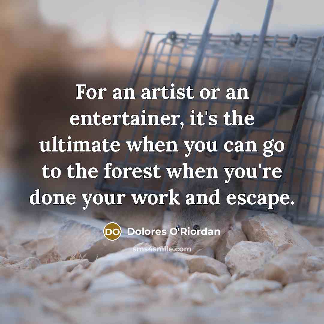 “For an artist or an entertainer, it's the ultimate when…” quote by Dolores O'Riordan