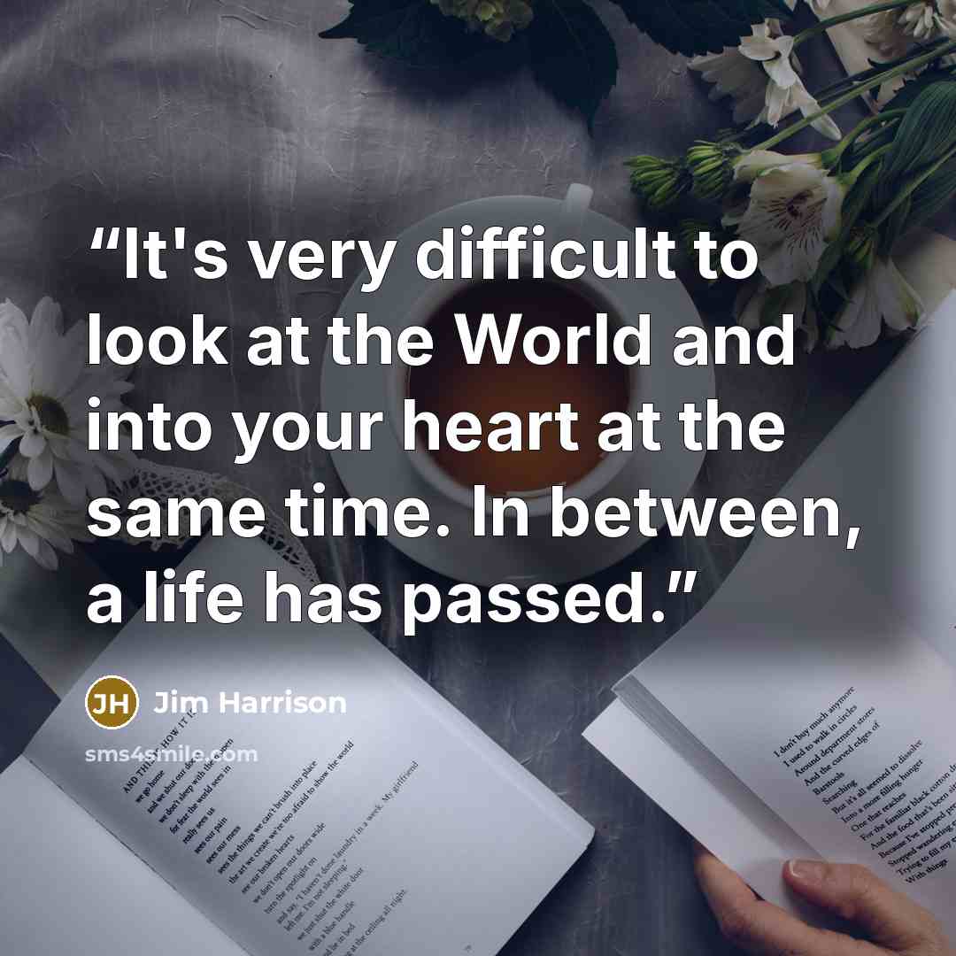 “It's very difficult to look at the World and into your heart at the same time. In between, a life has passed.” quote by Jim Harrison