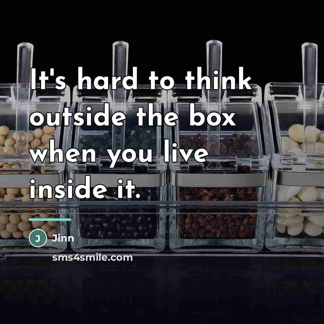 “It's hard to think outside the box when you live…” quote by Jinn