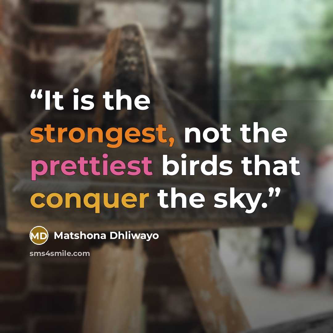 “It is the strongest, not the prettiest birds that conquer the sky.” quote by Matshona Dhliwayo