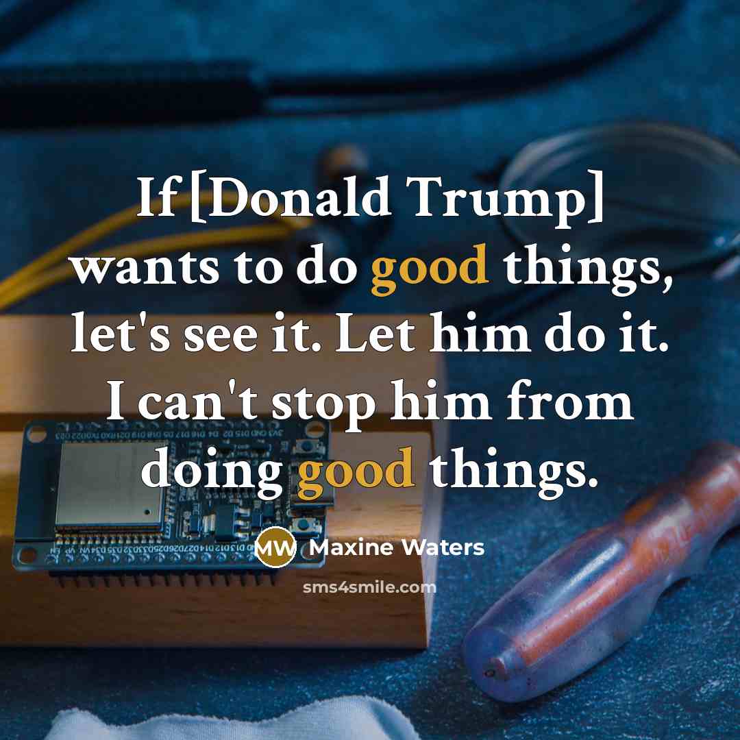 “If [Donald Trump] wants to do good things, let's see…” quote by Maxine Waters
