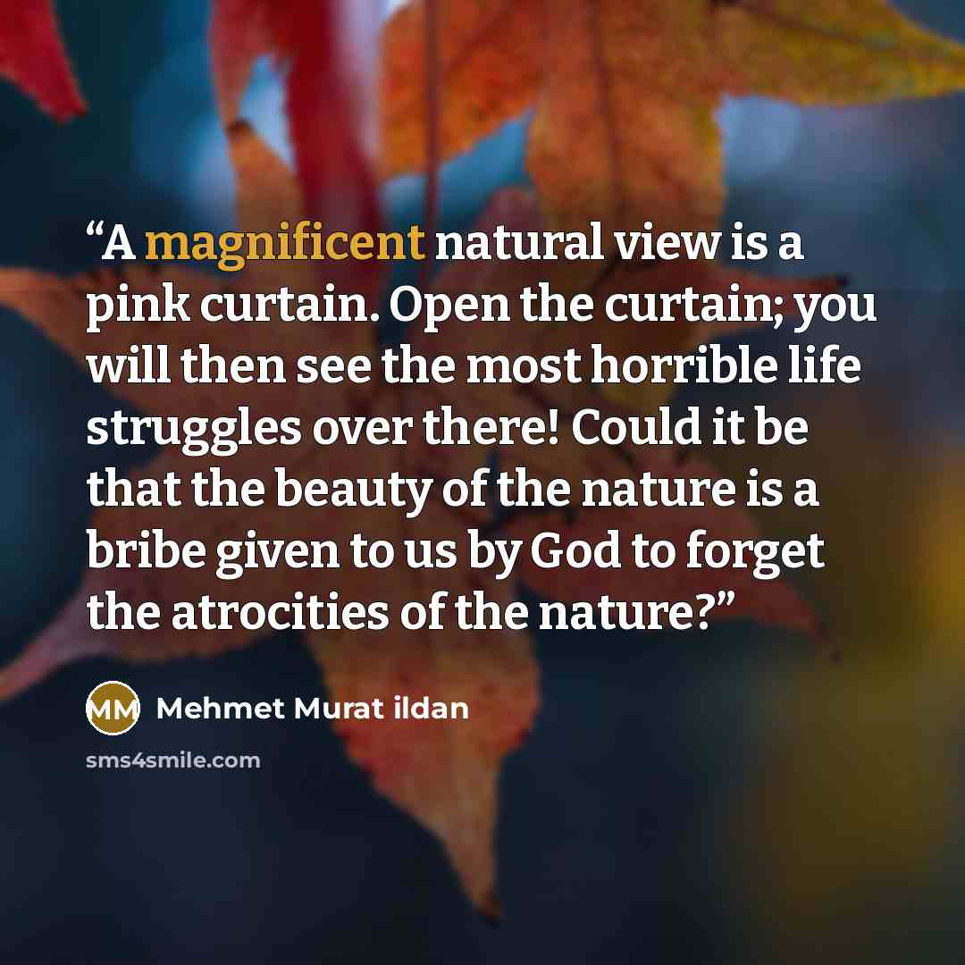 “A magnificent natural view is a pink curtain. Open the curtain; you will then see the most horrible life struggles over there! Could it be that the beauty of the nature is a bribe given to us by God to forget the atrocities of the nature?” quote by Mehmet Murat ildan