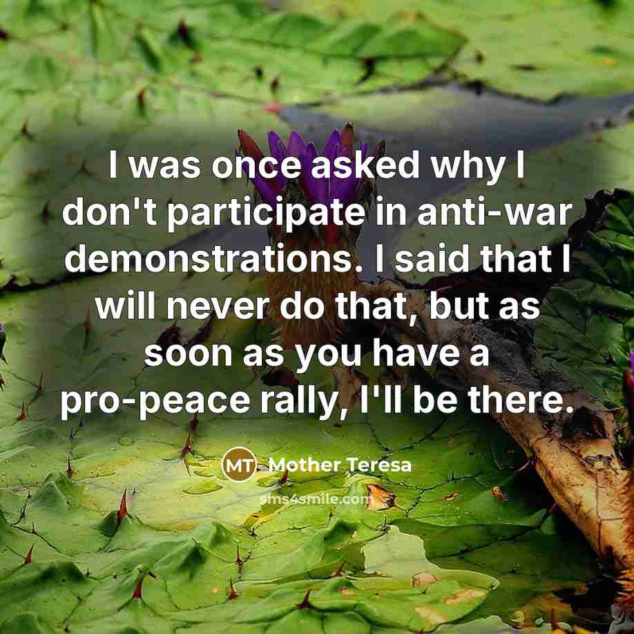 “I was once asked why I don't participate in anti-war…” quote by Mother Teresa