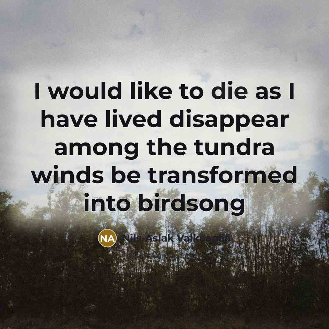 “I would like to die as I have lived disappear…” quote by Nils-Aslak Valkeapaa