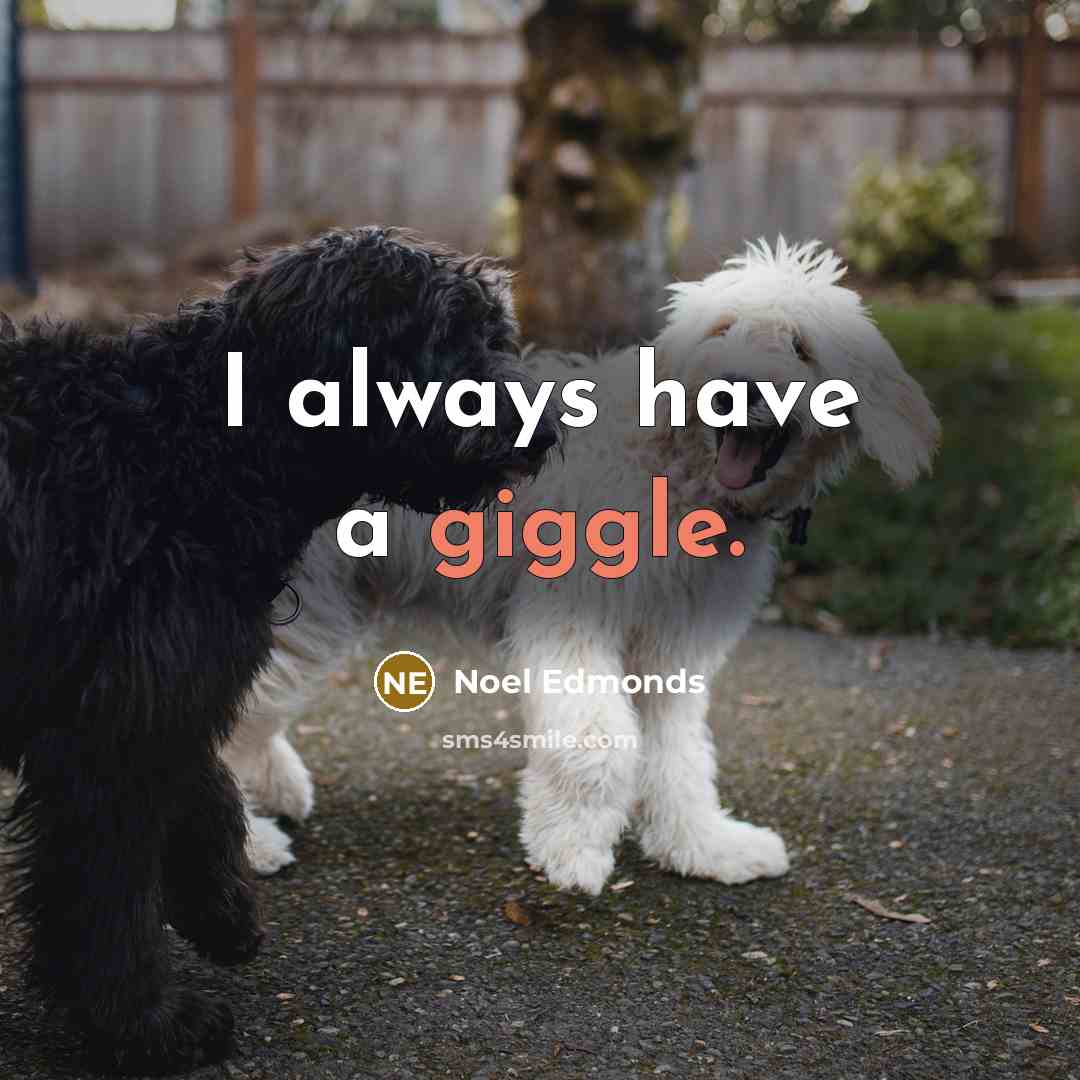 “I always have a giggle.…” quote by Noel Edmonds
