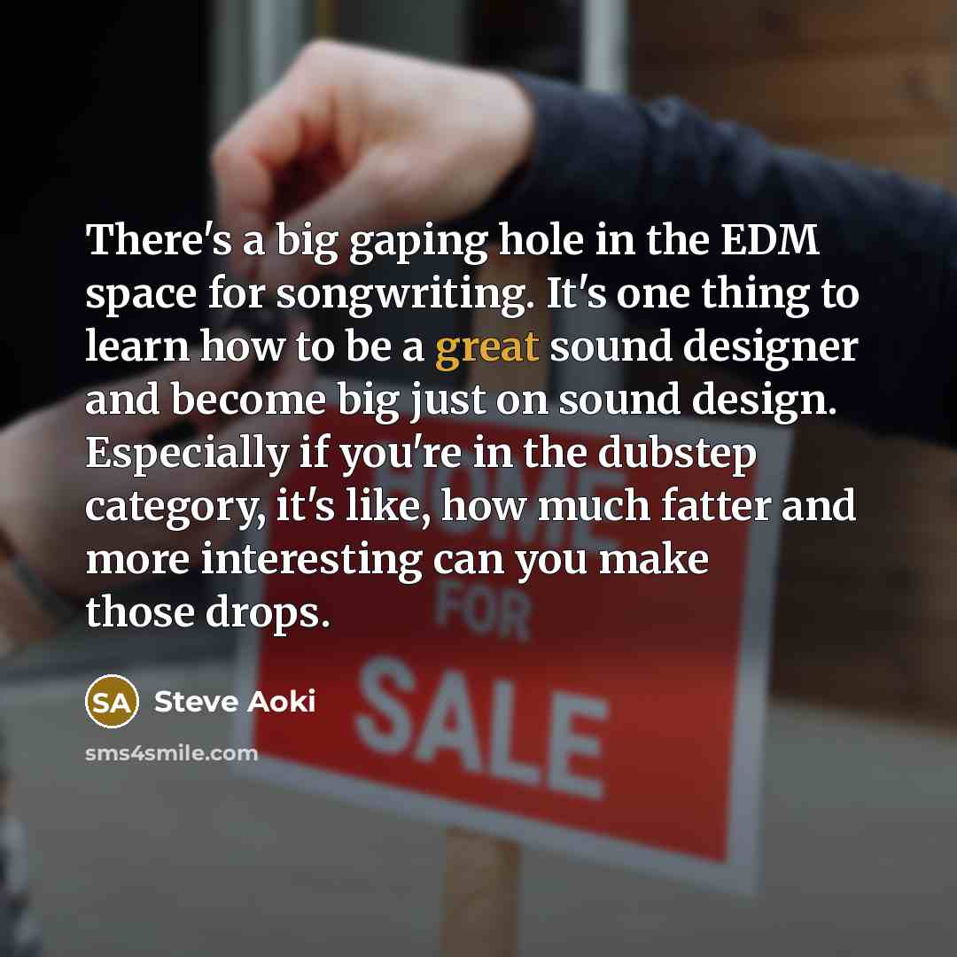 “There's a big gaping hole in the EDM space for…” quote by Steve Aoki