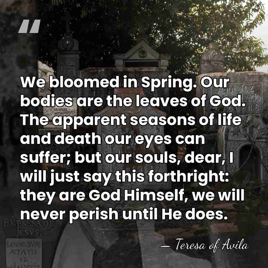 We bloomed in Spring. Our bodies are the leaves of God. The&hellip; - Teresa of Avila