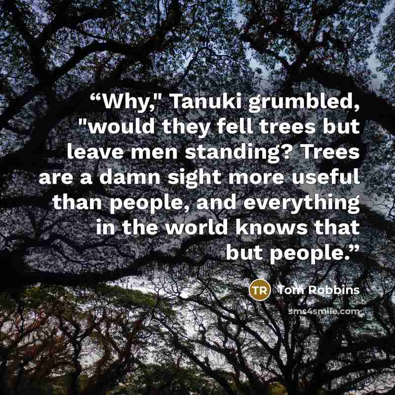 “Why," Tanuki grumbled, "would they fell trees but leave men standing? Trees are a damn sight more useful than people, and everything in the world knows that but people.” quote by Tom Robbins