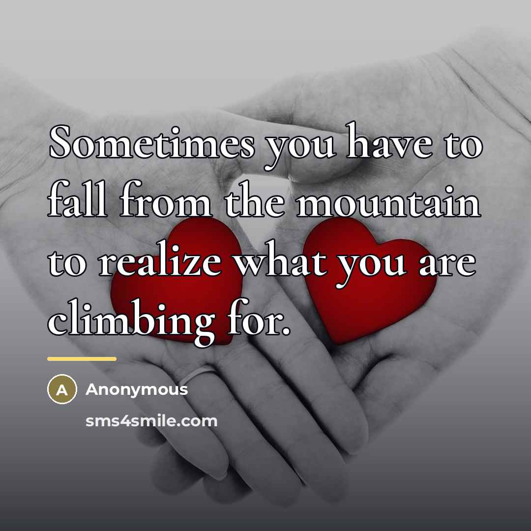 “Sometimes you have to fall from the mountain to realize…” quote by Anonymous