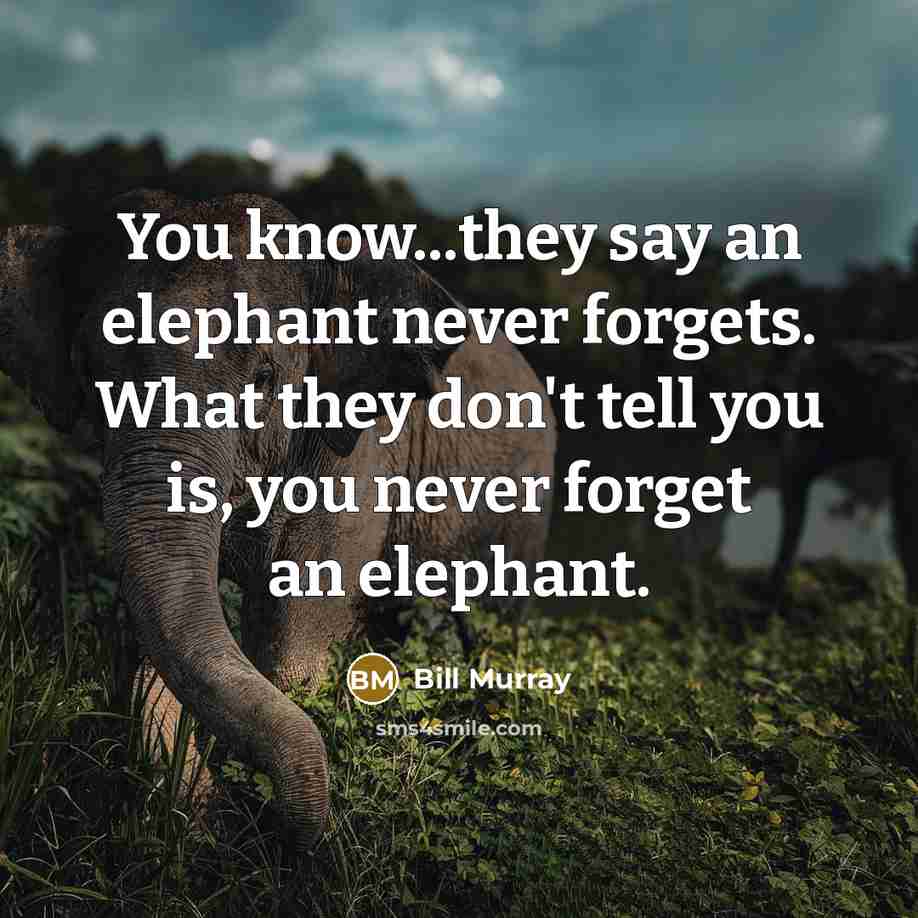 “You know...they say an elephant never forgets. What they don't tell you is, you never forget an elephant.” quote by Bill Murray
