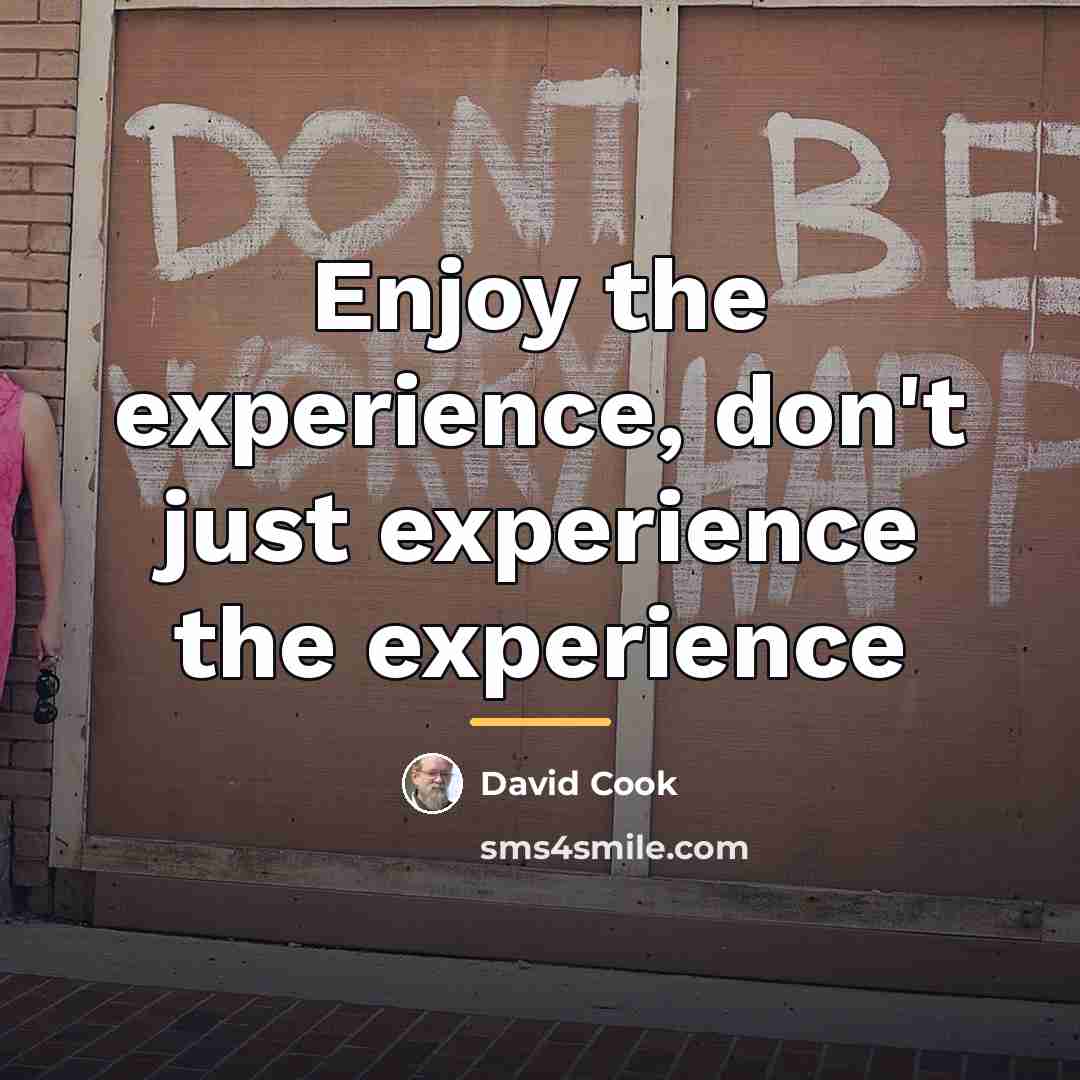 “Enjoy the experience, don't just experience the experience…” quote by David Cook