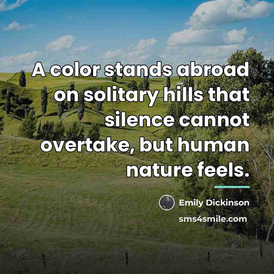 “A color stands abroad on solitary hills that silence cannot…” quote by Emily Dickinson