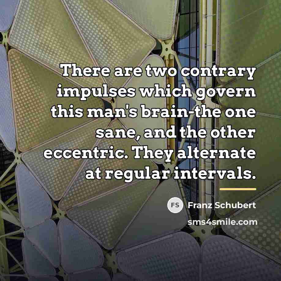“There are two contrary impulses which govern this man's brain-the…” quote by Franz Schubert