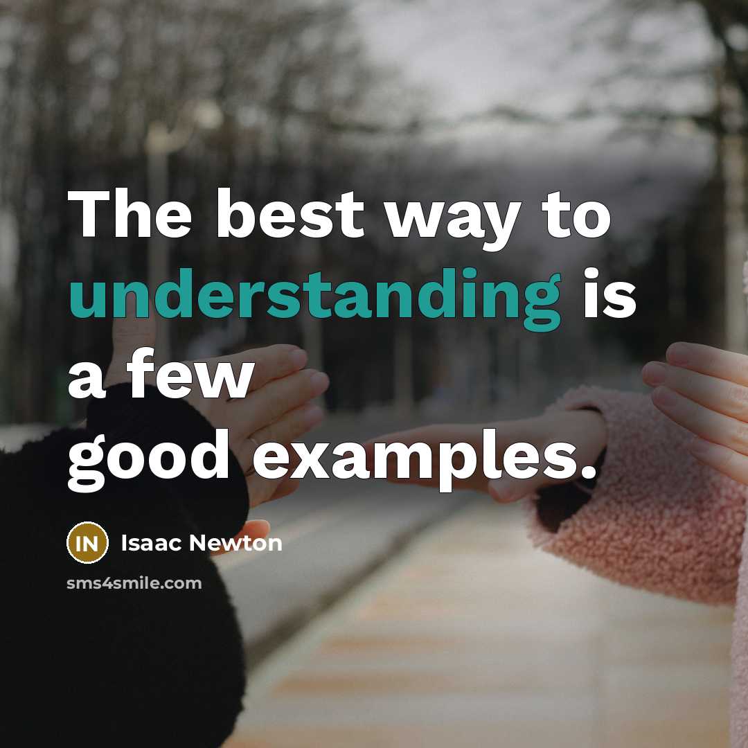 “The best way to understanding is a few good examples.…” quote by Isaac Newton