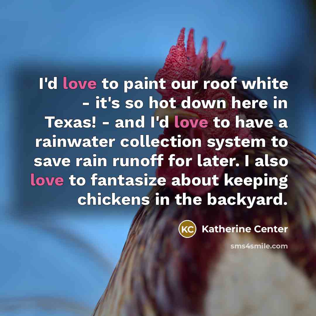 “I'd love to paint our roof white - it's so…” quote by Katherine Center
