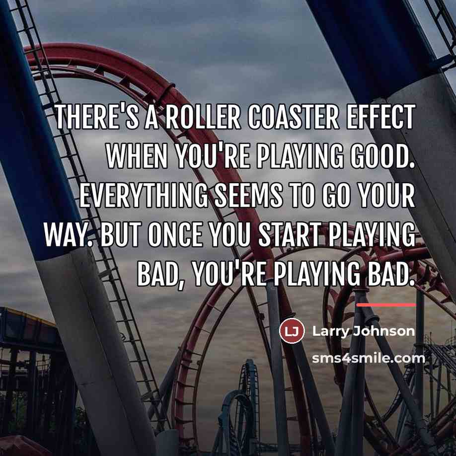 “There's a roller coaster effect when you're playing good. Everything…” quote by Larry Johnson