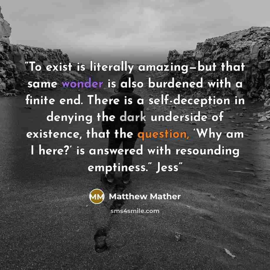 “To exist is literally amazing—but that same wonder is also burdened with a finite end. There is a self-deception in denying the dark underside of existence, that the question, ‘Why am I here?’ is answered with resounding emptiness.” Jess” quote by Matthew Mather