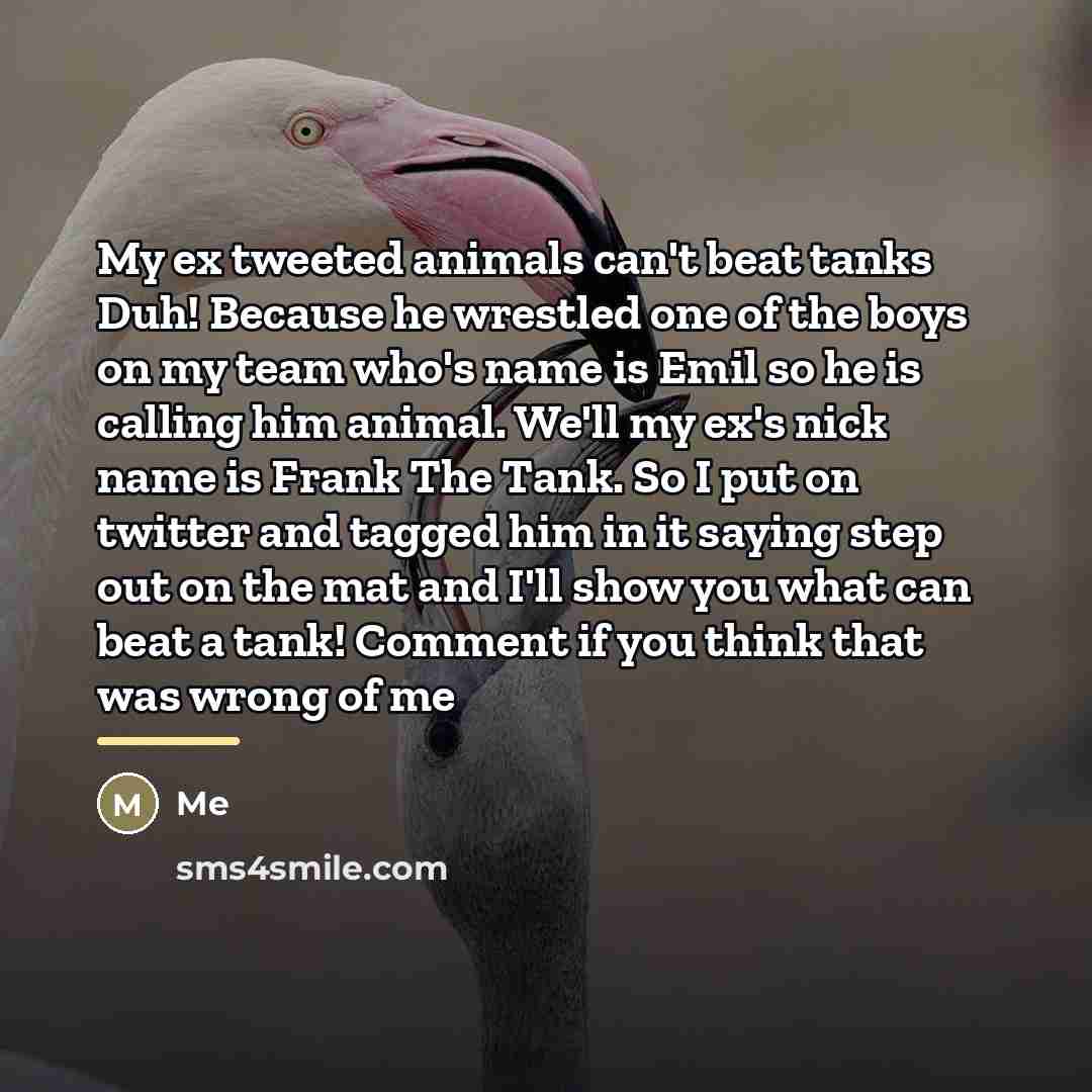 “My ex tweeted animals can't beat tanks Duh! Because he…” quote by Me