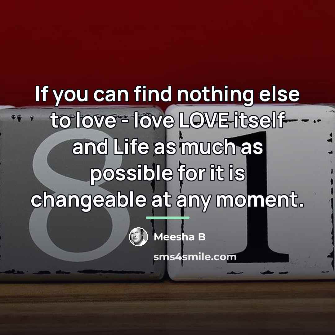 “If you can find nothing else to love - love…” quote by Meesha B