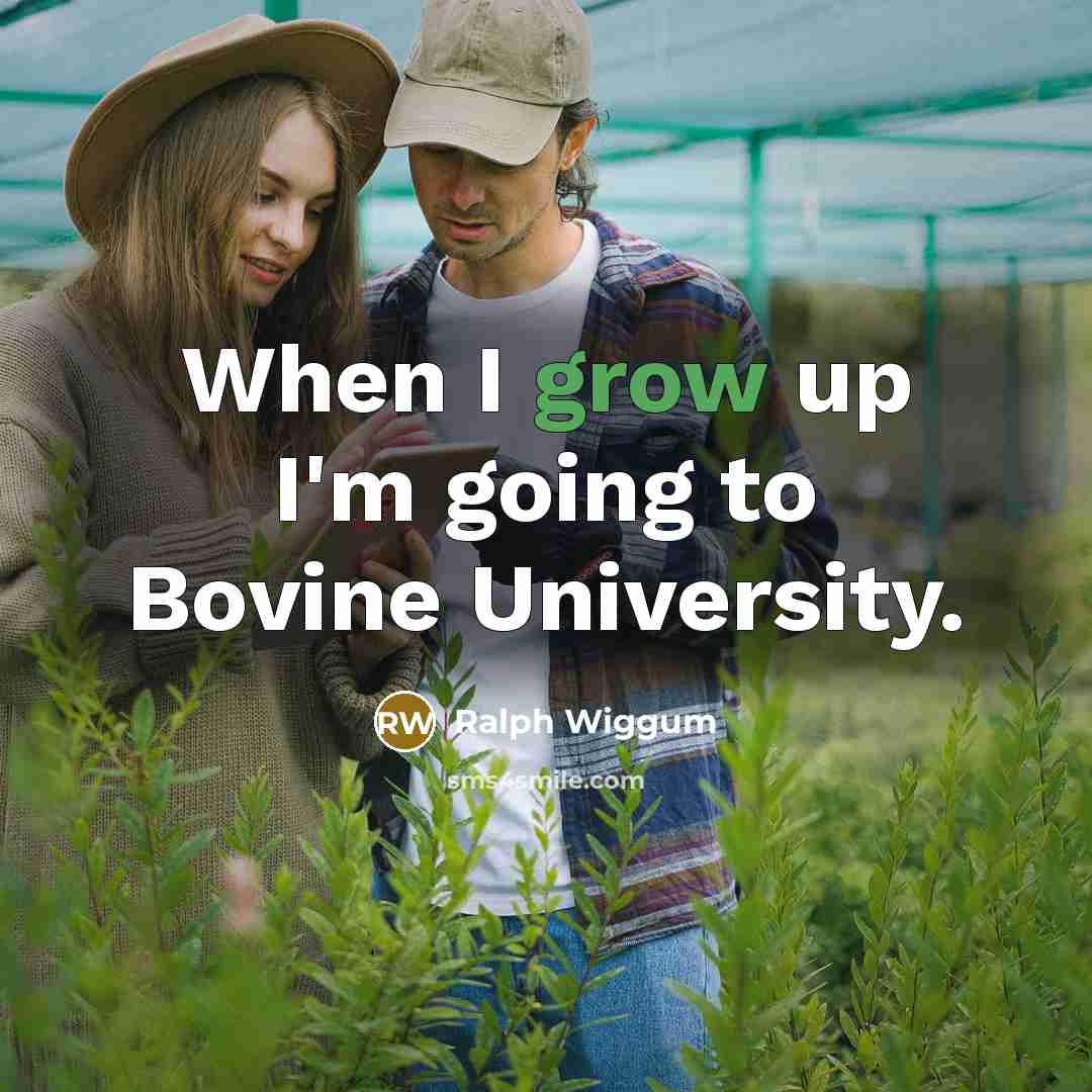 “When I grow up I'm going to Bovine University.” quote by Ralph Wiggum