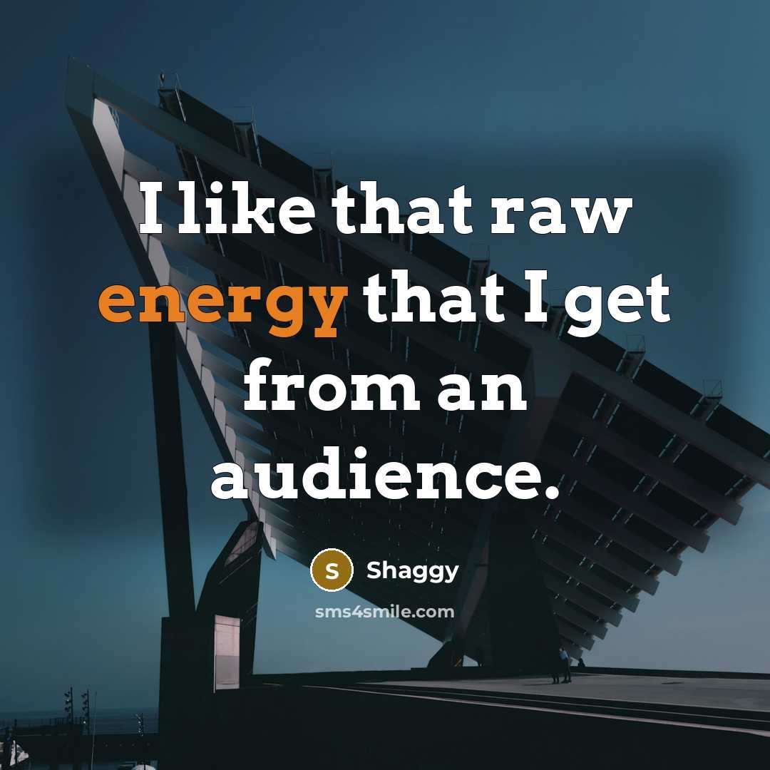 “I like that raw energy that I get from an…” quote by Shaggy