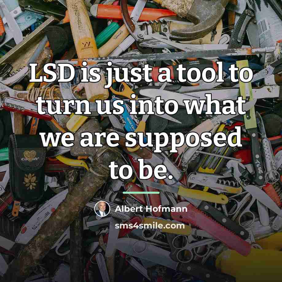 “LSD is just a tool to turn us into what…” quote by Albert Hofmann