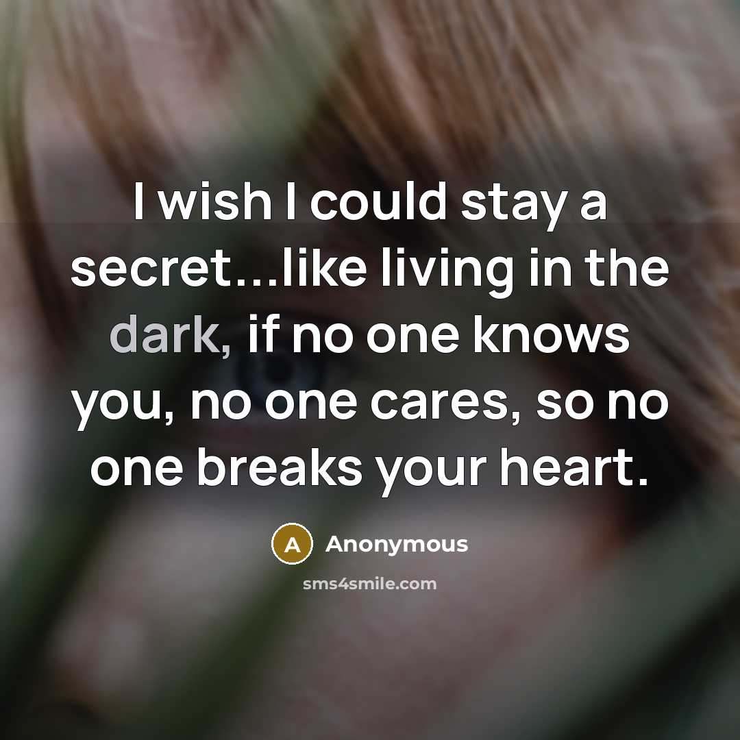 “I wish I could stay a secret...like living in the…” quote by Anonymous
