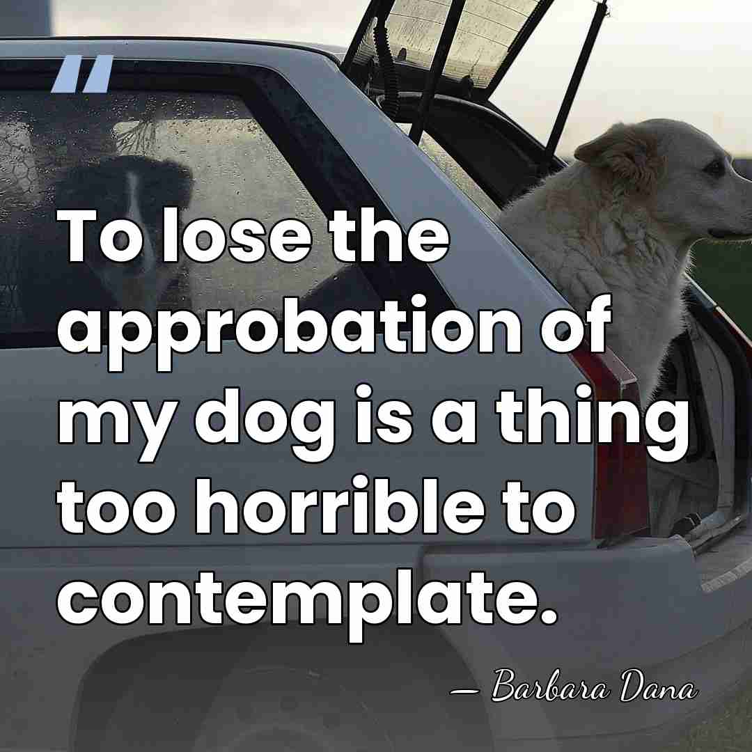 To lose the approbation of my dog is a thing too horrible&hellip; - Barbara Dana