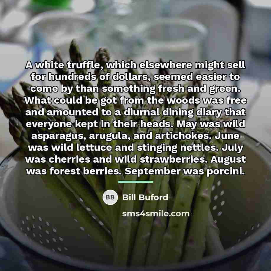 “A white truffle, which elsewhere might sell for hundreds of…” quote by Bill Buford
