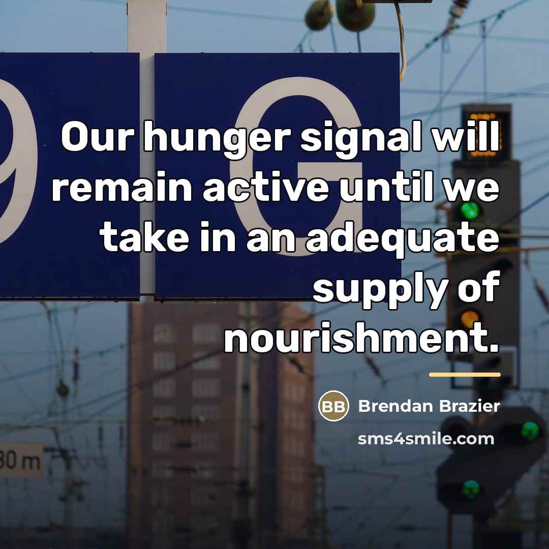 “Our hunger signal will remain active until we take in…” quote by Brendan Brazier