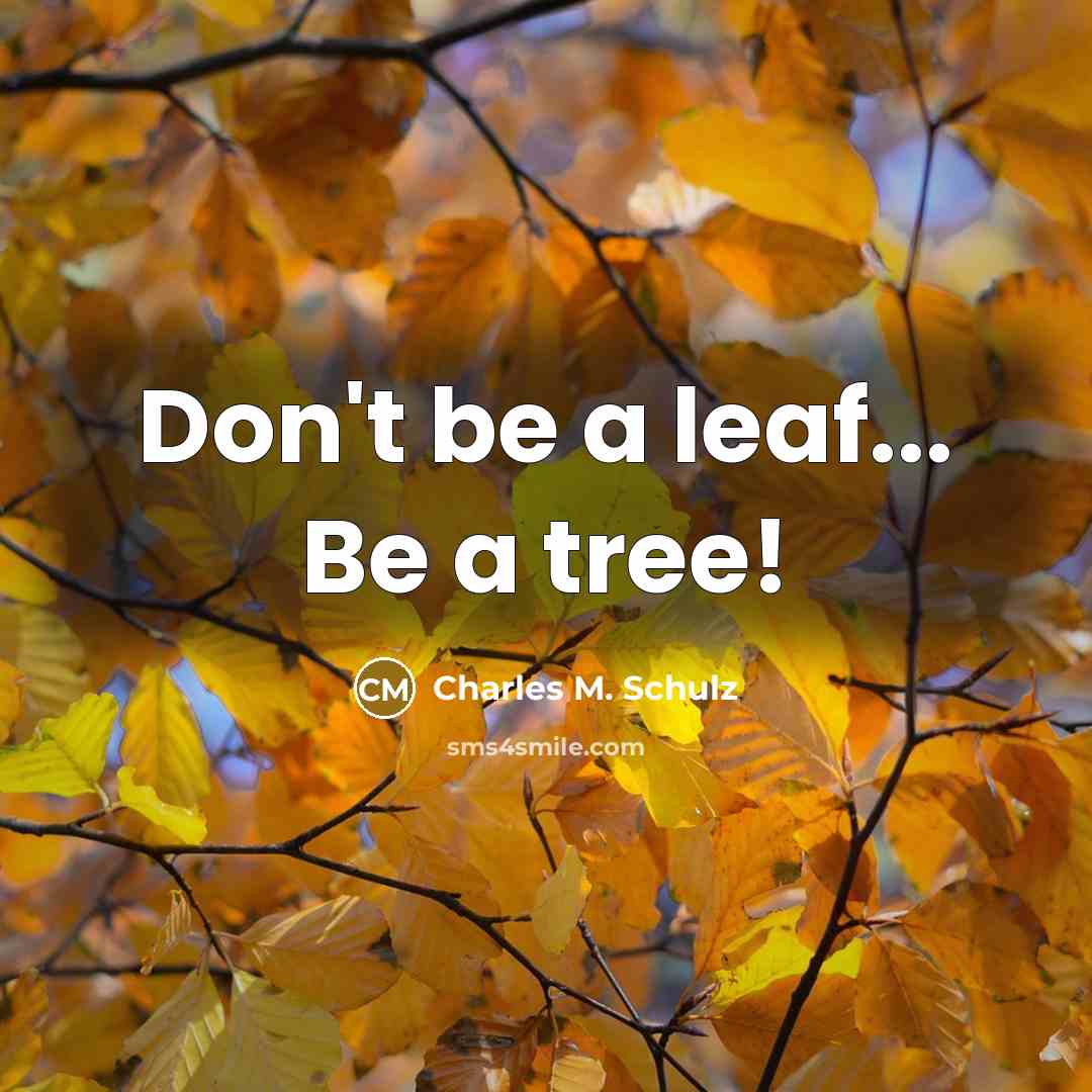 “Don't be a leaf... Be a tree!” quote by Charles M. Schulz