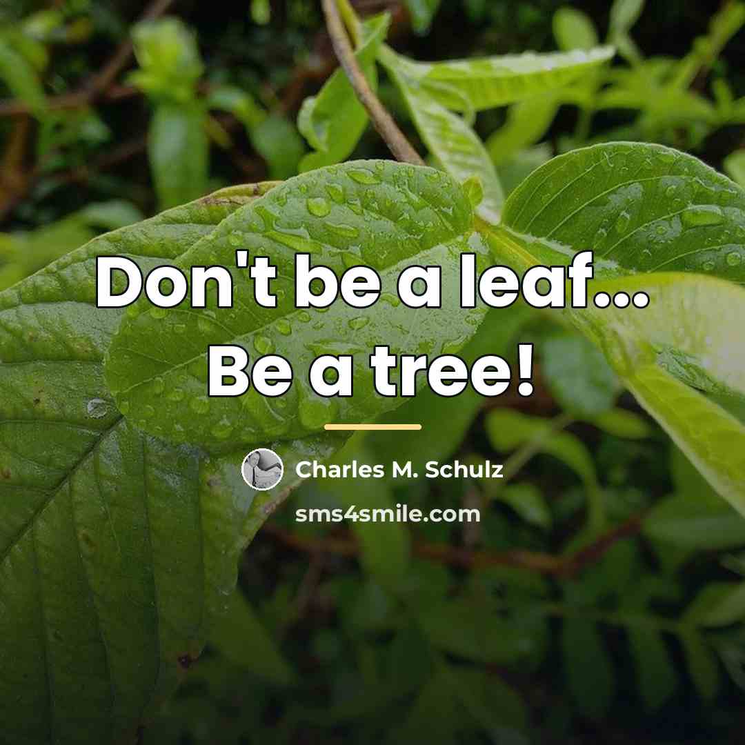 “Don't be a leaf... Be a tree!…” quote by Charles M. Schulz
