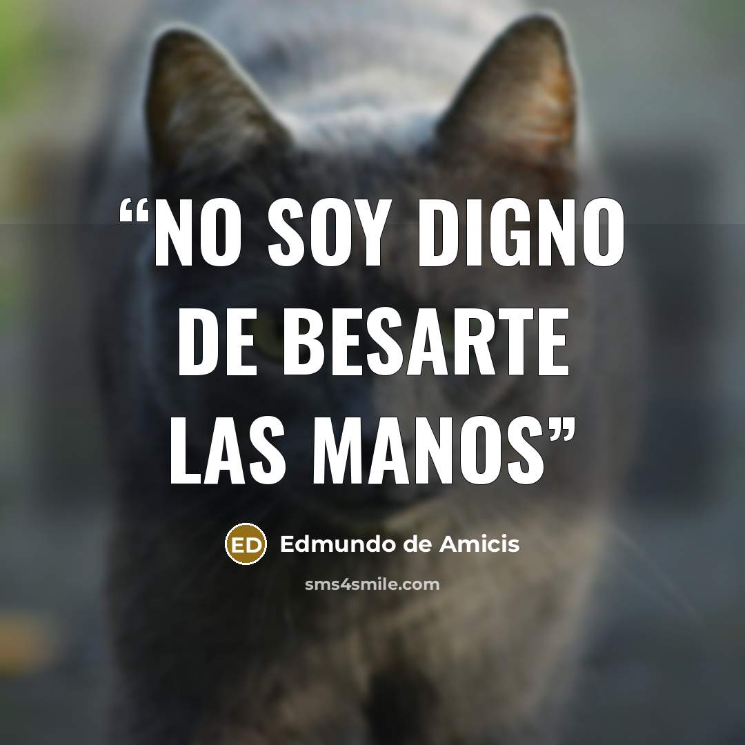“No soy digno de besarte las manos” quote by Edmundo de Amicis
