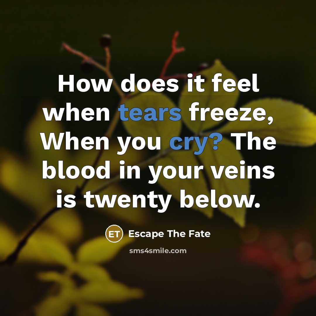 “How does it feel when tears freeze, When you cry? The blood in your veins is twenty below.” quote by Escape The Fate