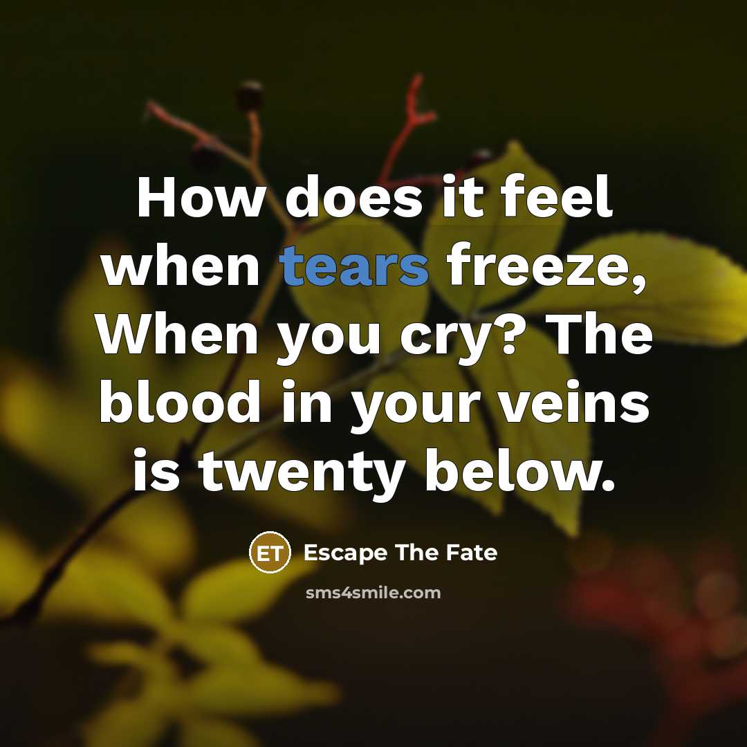 “How does it feel when tears freeze, When you cry?…” quote by Escape The Fate