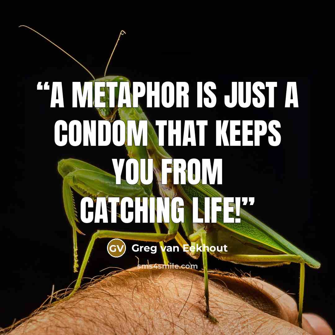 “A metaphor is just a condom that keeps you from catching life!” quote by Greg Van Eekhout