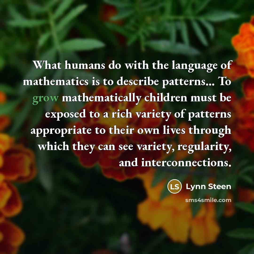 “What humans do with the language of mathematics is to…” quote by Lynn Steen