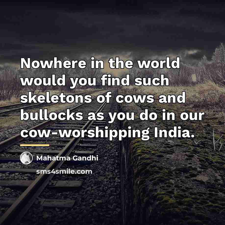 “Nowhere in the world would you find such skeletons of…” quote by Mahatma Gandhi