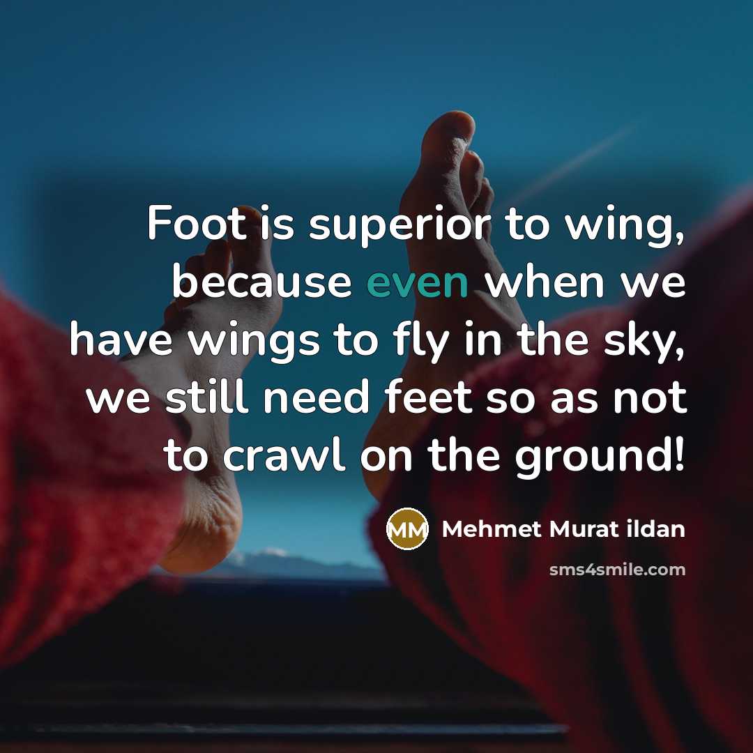 “Foot is superior to wing, because even when we have…” quote by Mehmet Murat Ildan